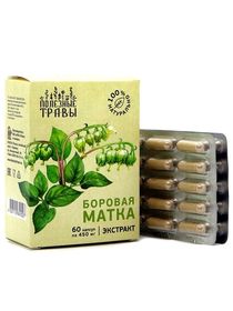 Боровая матка