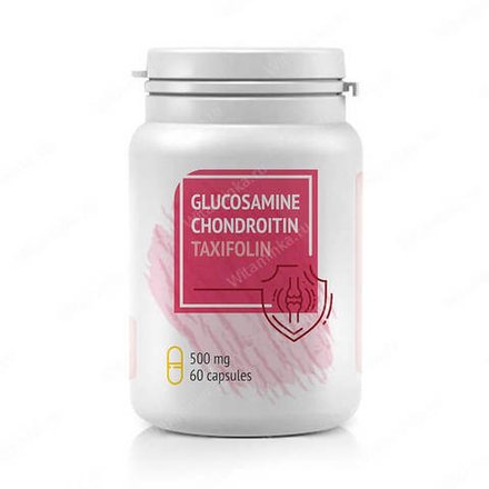 Хондроитин + Глюкозамин с дигидрокверцитином Натурведъ № 10, Алтаведъ, 60 капсул